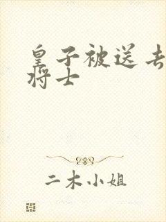 皇子被送去犒劳将士