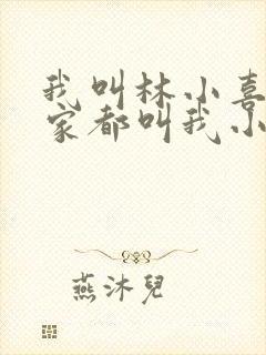 我叫林小喜 大家都叫我小喜小说封面