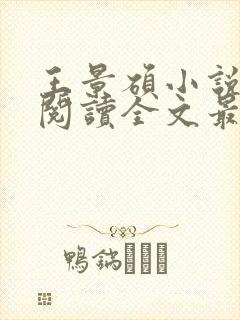王景硕小说免费阅读全文最新章节