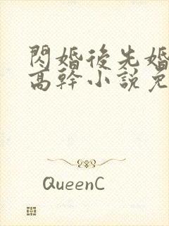 闪婚后先婚后爱高干小说免费阅读