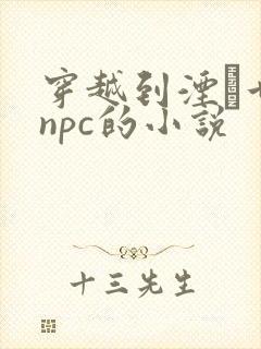 穿越到湮婸世界npc的小说