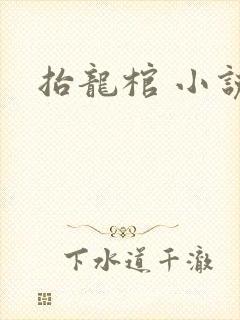 抬龙棺 小说封面