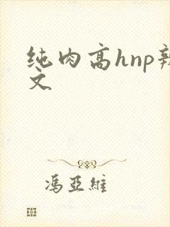 纯肉高hnp辣文