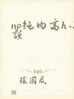np纯肉高h小说