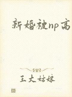 新婚被np高h封面