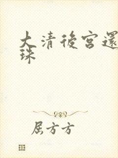 大清后宫还君明珠封面