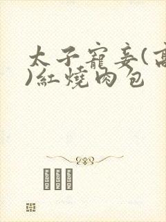 太子宠妾(高肉)红烧肉包