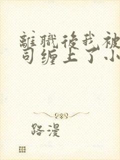 离职后我被前上司缠上了小说