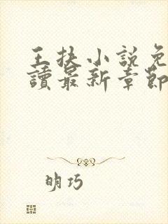 王扶小说免费阅读最新章节无弹窗封面