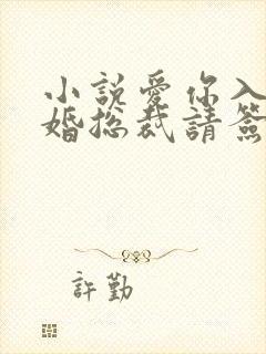 小说爱你入骨隐婚总裁请签字