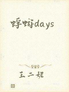 蜉蝣days