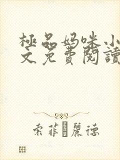极品妈咪小说全文免费阅读