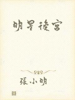 明星后宫封面