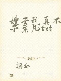 嫂子我真不是傻子叶凡txt