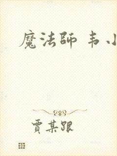 魔法师 韦小宝