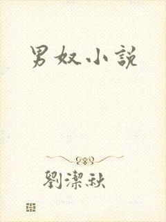 男奴小说