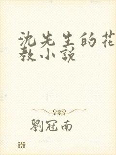 沈先生的花式调教小说封面