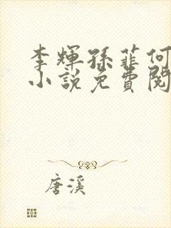 李辉孙菲何倩的小说免费阅读全文