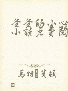 爸爸的小心肝儿小说免费阅读