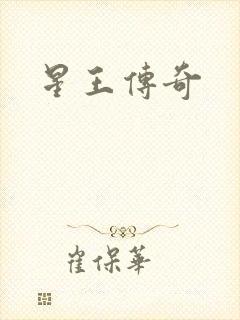 星王传奇