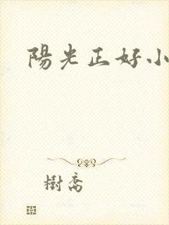 阳光正好小说