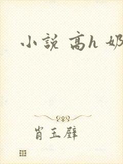 小说 高h 奶