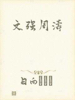 文强周涛