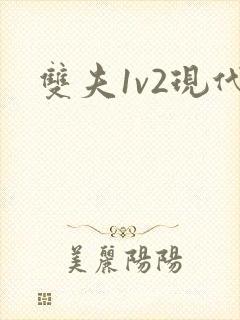 双夫1v2现代封面