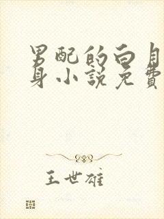 男配的白月光替身小说免费阅读封面