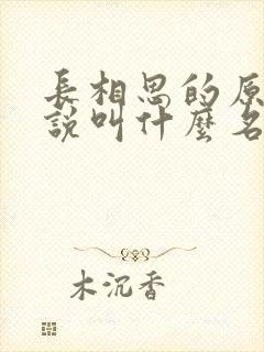 长相思的原著小说叫什么名字