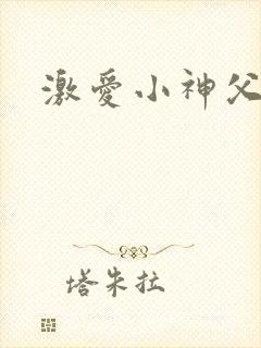激爱小神父