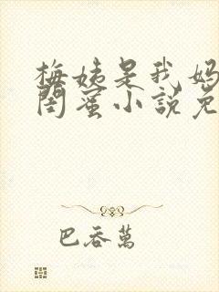 梅姨是我妈妈的闺蜜小说免费阅读