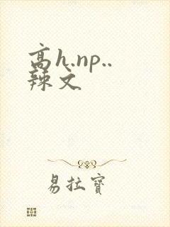 高h.np..辣文