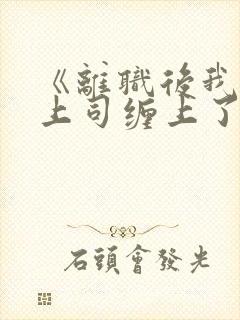 《离职后我被前上司缠上了》