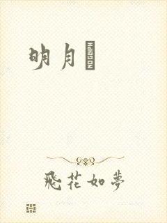 明月珰