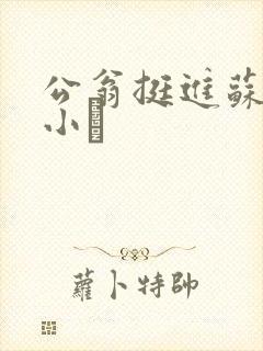 公翁挺进苏玥的小泬