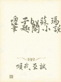 傻子by苏玛丽笔趣阁小说封面