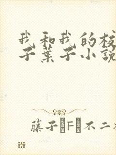 我和我的校花妻子叶子小说免费阅读全文封面