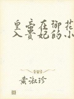 皇帝在御花园进入贵妃的小说