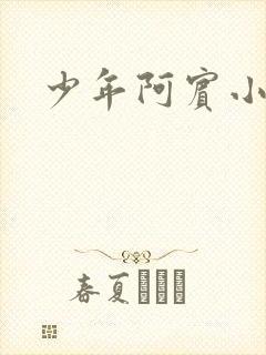 少年阿宾小说