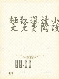极致深情小说全文免费阅读笔趣阁封面