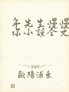 年先生慢慢喜欢你小说全文免费阅读
