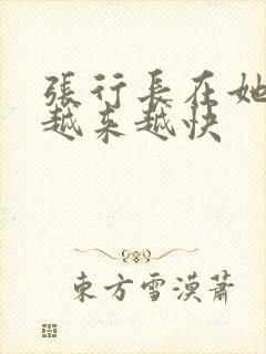 张行长在她体内越来越快封面