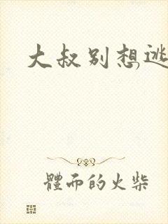 大叔别想逃