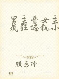 男主爱女主爱到疯狂偏执小说