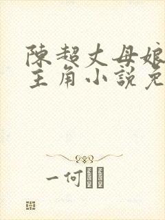 陈超丈母娘赵悦主角小说免费阅读
