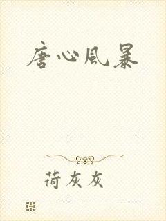 唐心风暴