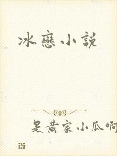 冰恋小说封面
