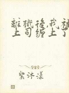 离职后,我被前上司缠上了