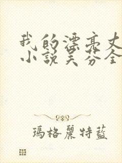 我的漂亮丈母娘小说吴芬全文阅读